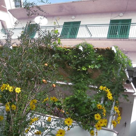 Apartman Sulić Podgora Bagian luar foto